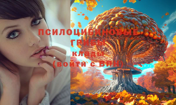 кокс Вязники