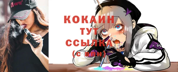 гидропоника Вяземский