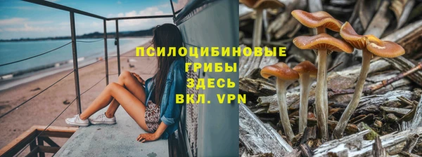гидропоника Вяземский