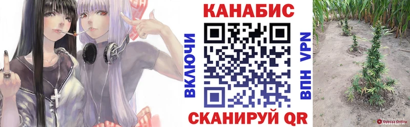 Бошки марихуана индика  Железногорск 